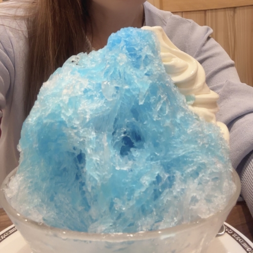 やってきました🍧