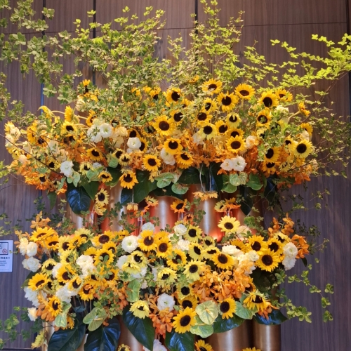 リフレッシュは如何でしょうか❔