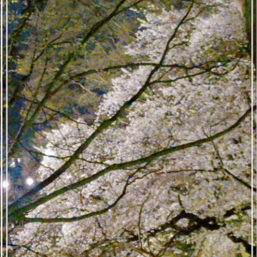 初めまして✨️