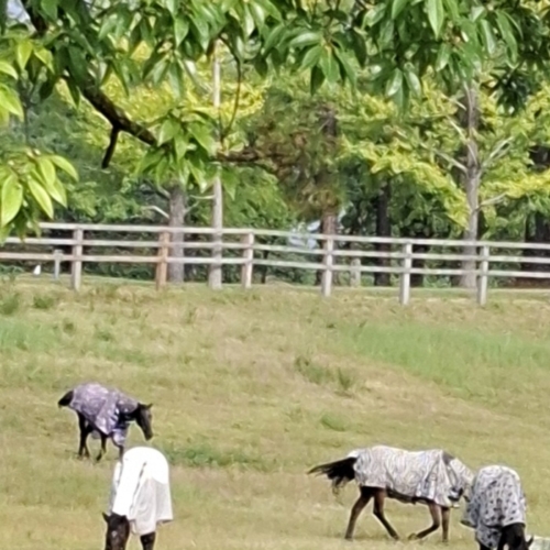8月もご予約ありがとう　　　ございました💖