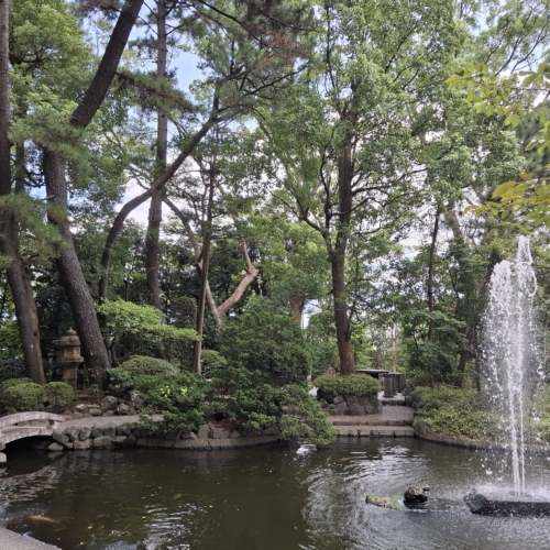 先月もありがとうございました🎶