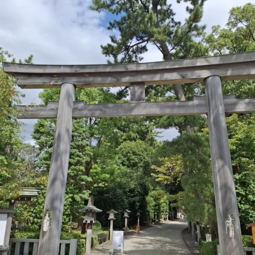 400年に1度、今年の最強日　ですって🎑