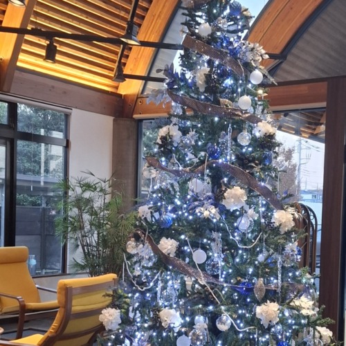 今月は今夜と明日🍎