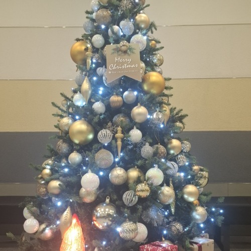 今月もお疲れ様でした💓