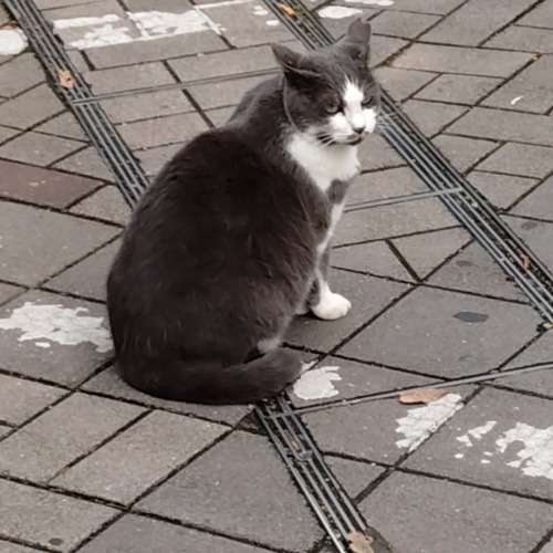 珍しく土曜出勤