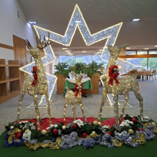 🍎りんこはストールを失くしてしまい😭