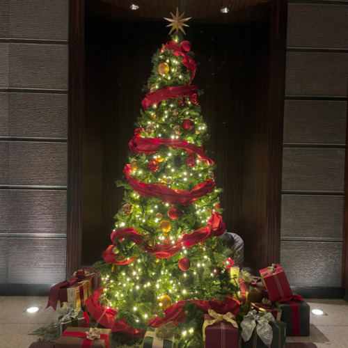 つるんっ•*¨*•.¸¸♪✧