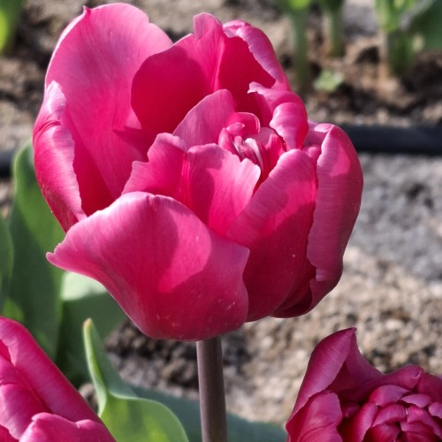 👗楽しかった～🎶