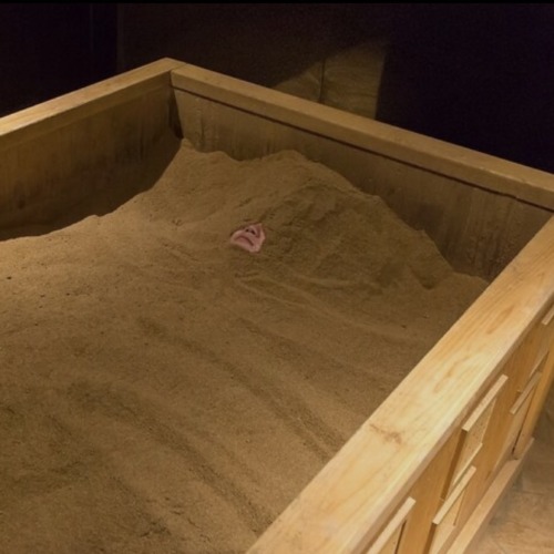 サウナも良いけど😊