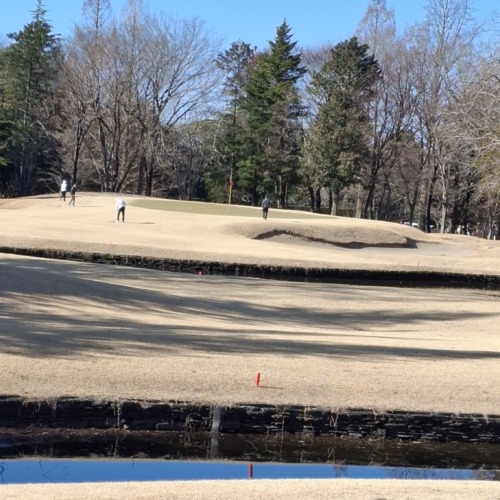 ⛳Parパット悉く外して😓、、96