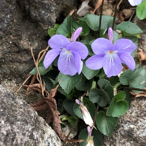 暑かったー😅💦