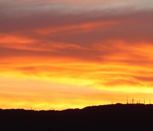 デトックス𓂃⟡.·