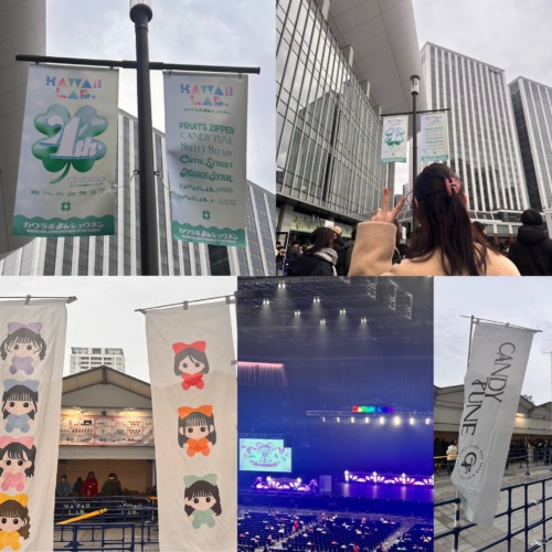 🩷🩵❤️💚💙💜