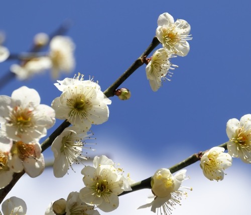 あたたかい〜☺️