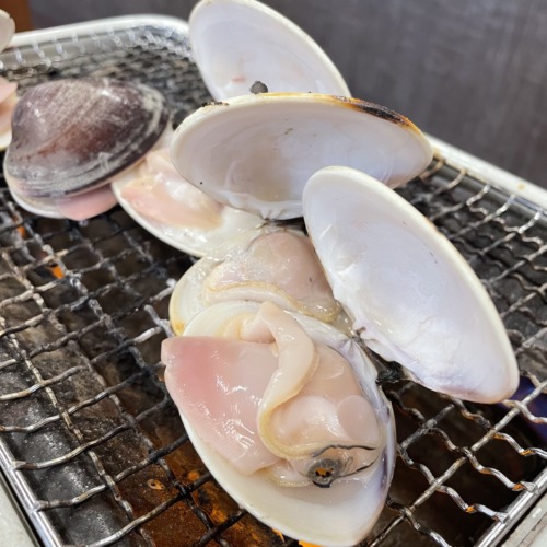 こんばんは🌜🌝🌛