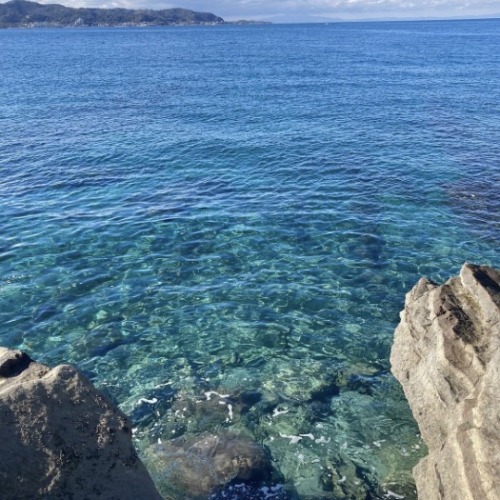 こんばんは🌙*·̩͙