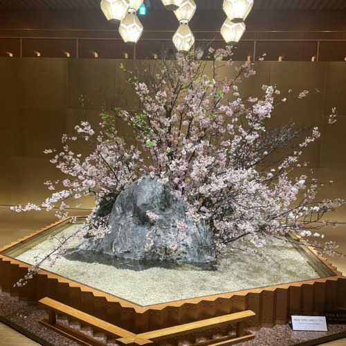 こんばんは🌙*·̩͙