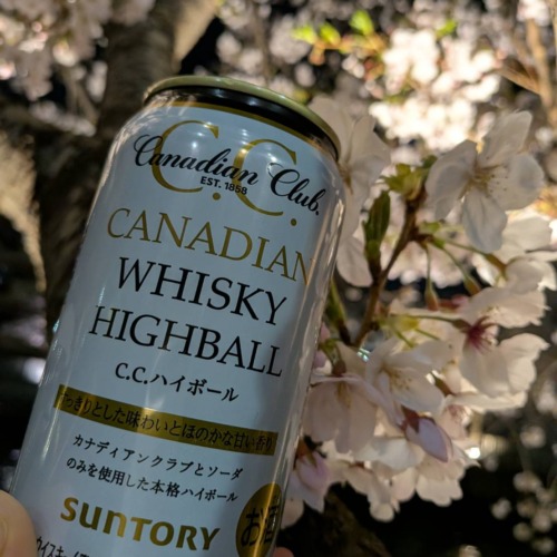 花も🌸団子も🍡お酒も🍷全部好き♥