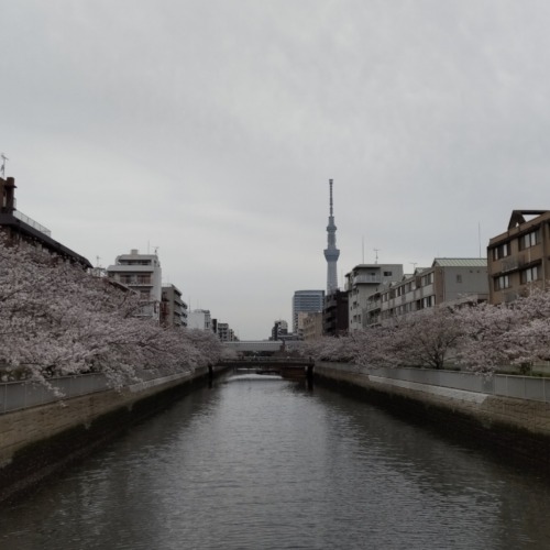 ホスピタリティ✨