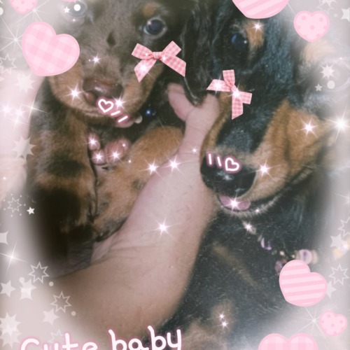 𝓢𝓸 𝓒𝓾𝓽𝓮💕